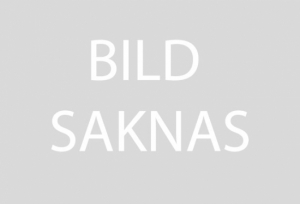 Katalysator, passar R15V2/15T Kawasaki motor i gruppen Husqvarna / Övrigt hos Mera Maskin Göteborg Aktiebolag (965 96 76-01)